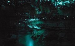 送水APP开发可解决哪些问题？