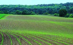 农业APP开发如何助力线下行业转型？