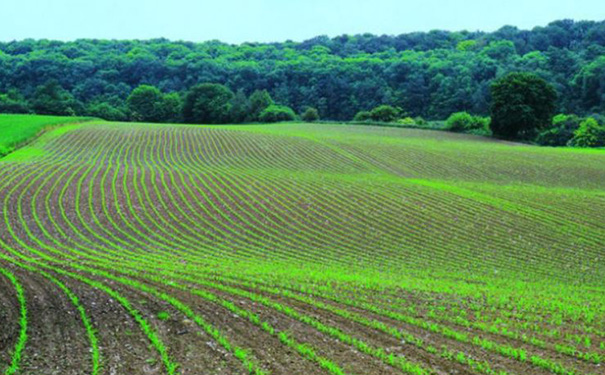 农业APP开发,智慧农业APP