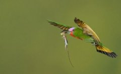 生活记录APP开发有什么用处？