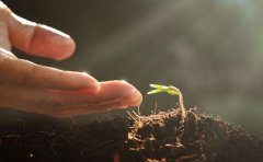 心理健康APP开发可解决哪些问题？