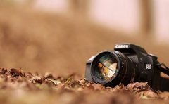 视频剪辑APP开发具备哪些功能特色？