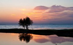 旅游向导APP开发，方便用户寻找导游