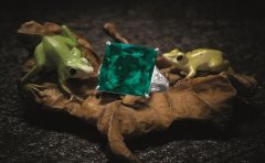 类似微拍堂APP开发基础功能介绍